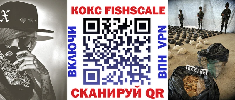 хочу наркоту  Фокино  COCAIN FishScale 