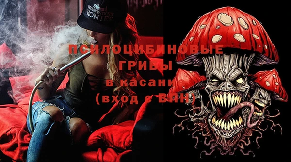 ПСИЛОЦИБИНОВЫЕ ГРИБЫ Лиски