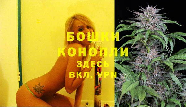 спиды Бердск
