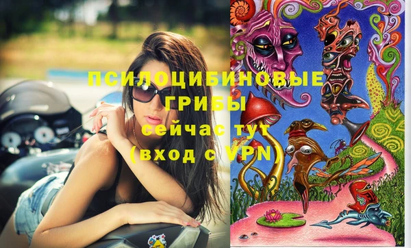 спиды Бердск