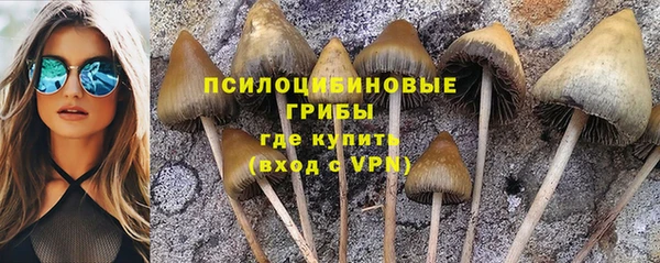 стафф Лихославль